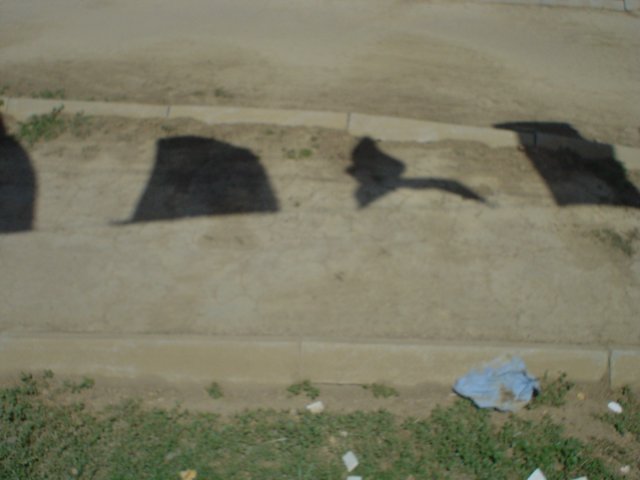 Photograph