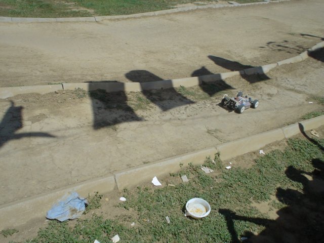 Photograph