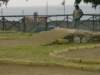 Photo Number 5